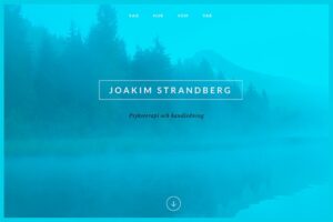 Joakim Strandberg - Webbdesign av Wanngaard Ways/ Katarina Di Leva